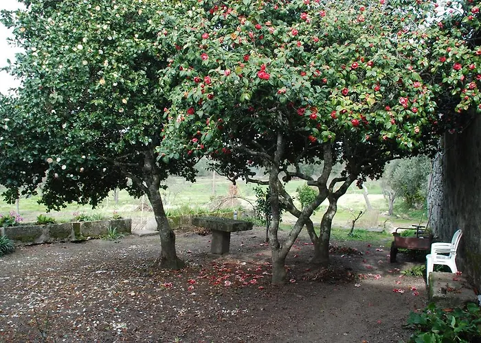 Solar Dos Pedrosos *